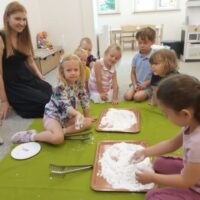 a86e4481-ae27-481d-8c21-7534de2cd610